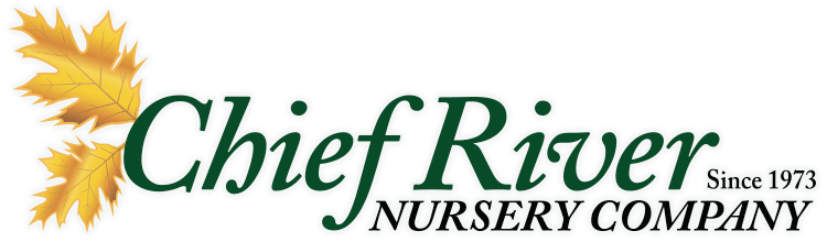 Chief River Nursery